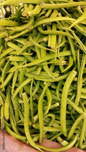 guar bean cluster bean cyamopsis tetragonoloba annual legume vegetable source of guar gum gavar gawar guvar fresh green pod agriculture farming crop organic healthy food