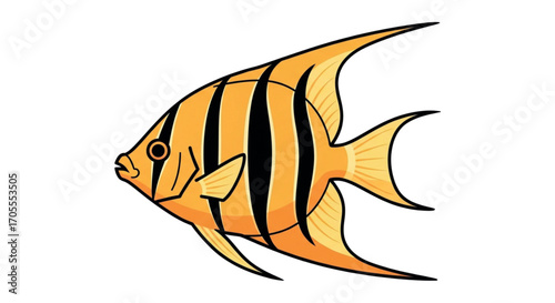 Orange Angelfish with Black Stripes.