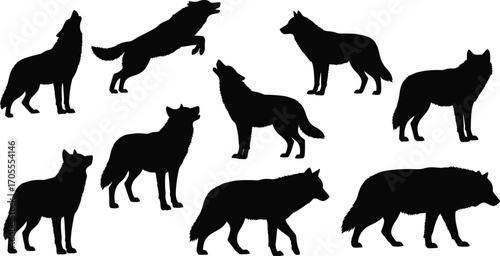 A collection of diverse wolf silhouettes in various poses and actions, symbolizing wildness and nature.