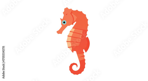 Orange Seahorse Illustration.