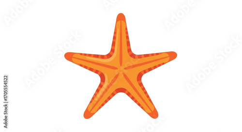 Orange Starfish Isolated on White Background.