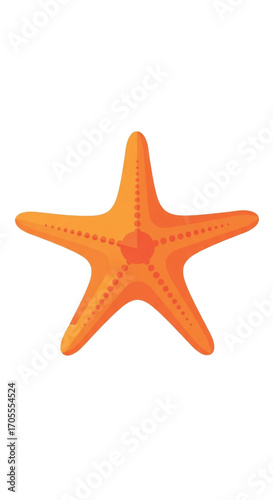 Orange Starfish Marine Animal.