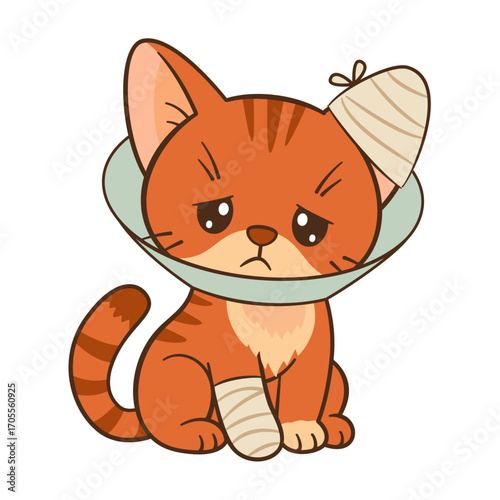 Sad orange tabby cat with cone collar and bandaged paw and ear. Chibi Flat style clean, simple design. For veterinary and children’s content, pet care blogs, greeting cards, stickers, tshirts, poster