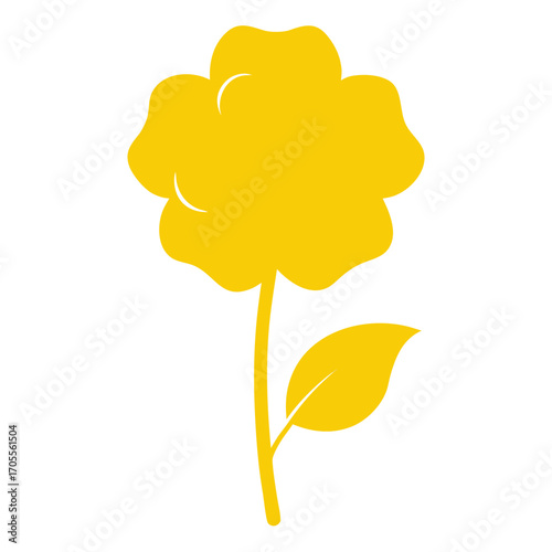  rape yellow  silhouette flower on white