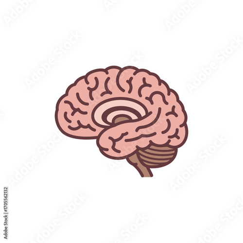 human brain illustration anatomical medical design depicting intelligence memory and thought processes for science education healthcare and cognitive research