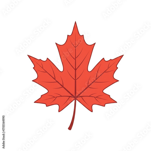 Red Maple Leaf Illustration.