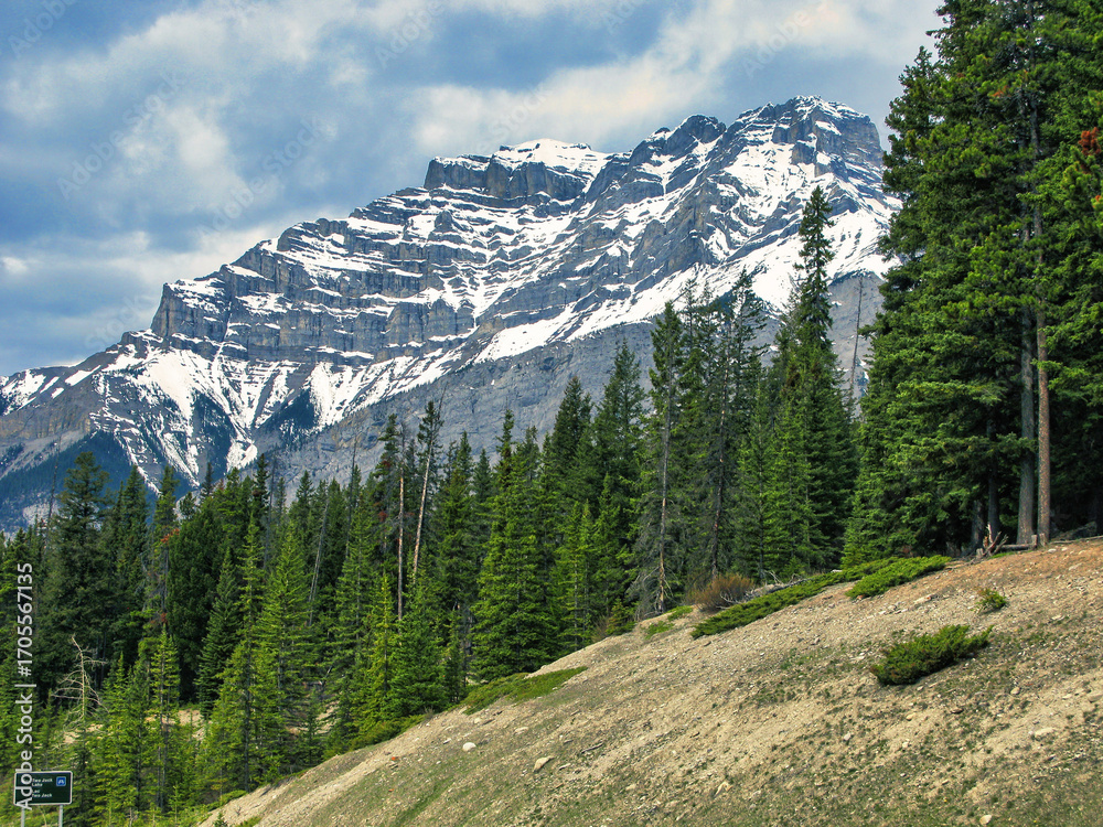 Fototapeta premium Scenic view of a snow-capped mount Rundle in Banff National Park, Canada.