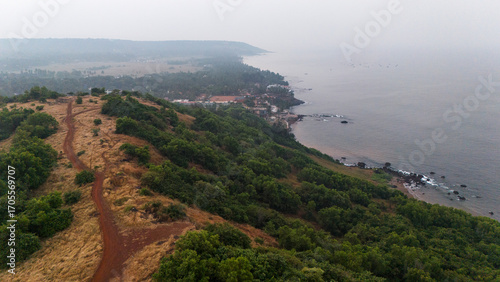 Aerial shot of hilltop at Vagator Beach, Goa, during winter with yellow grass, green trees, brown mud paths, and the Arabian Sea with rocks and ocean waves.