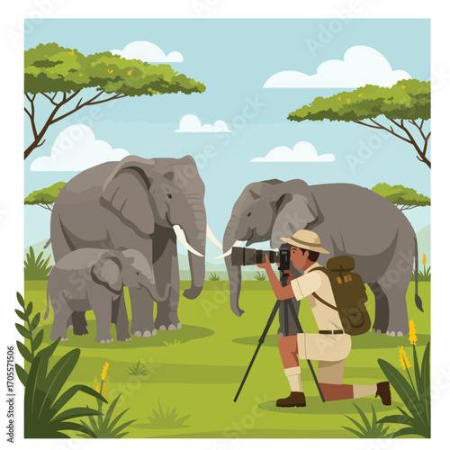 African Elephants and Calf Observed by Photographer in the Savannah