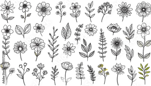 Collection of line art flowers and plants