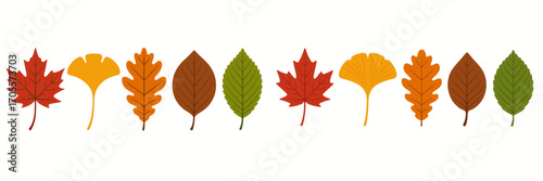 Horizontal border design with colorful autumn leaves including maple, oak, ginkgo, and other tree foliage in seasonal hues for fall decoration