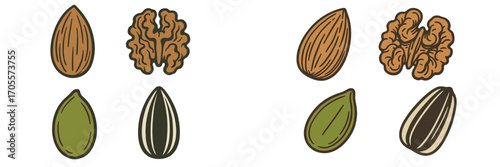 Nutritious assortment of natural nuts and seeds, featuring almond, walnut, pumpkin seed, and sunflower seed varieties