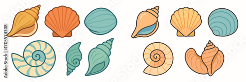 Variety of vibrant ocean seashells including conch, scallop, and spiral shapes in a clean graphic design