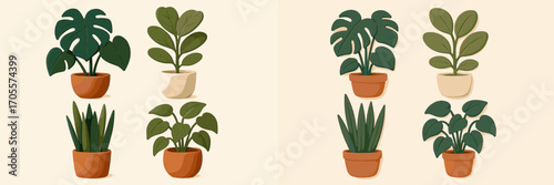 Collection of various green potted house plants with textured leaves in different terracotta and cream pots on a light background