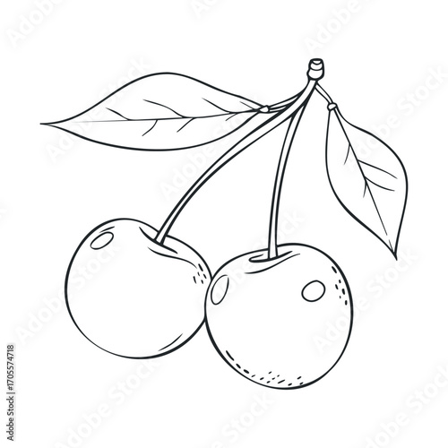Fresh cherries on branch with green leaves for design needs. Vector illustration