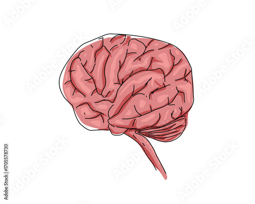 human brain illustration design vector.eps