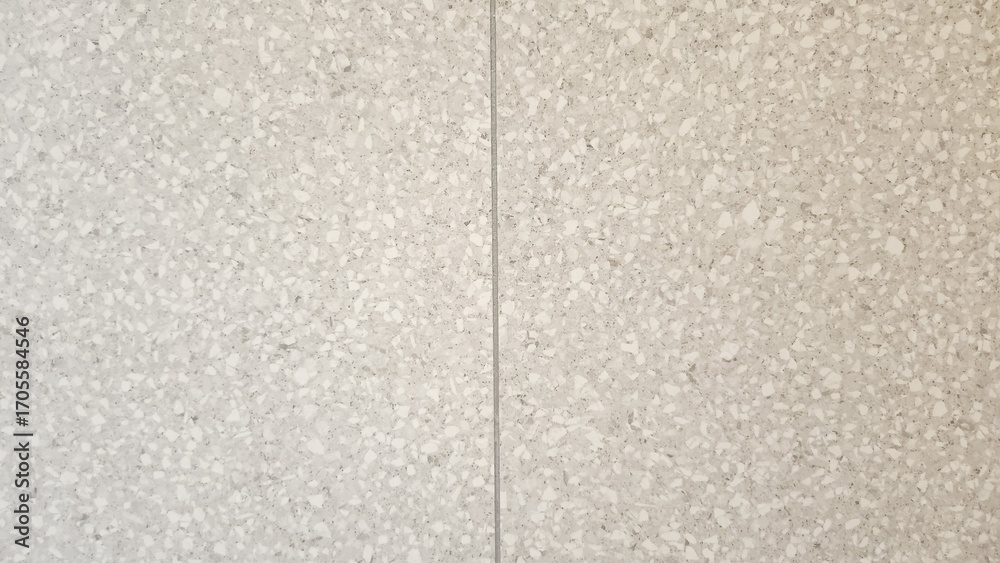 Fototapeta premium Gray White Terrazzo Tiles, Gray White Patterned Terrazzo Tiles, Terrazzo Tiles, Terrazzo Tiles Background, Terrazzo Tiles Texture