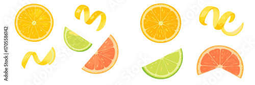 Assorted Citrus Fruit Slices and Zest Isolated on White