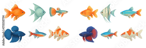 Collection of diverse freshwater aquarium fish species including goldfish angelfish guppy betta and neon tetra