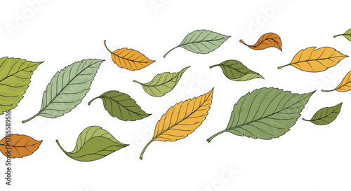 Colorful Autumn Leaves Falling in the Wind.