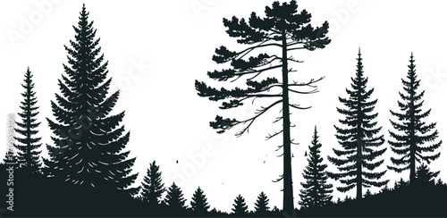 Forest tree silhouette landscape with pine and fir trees on hills. Dark woodland illustration for nature, outdoor, and adventure themes. Minimal natural scenery background design.