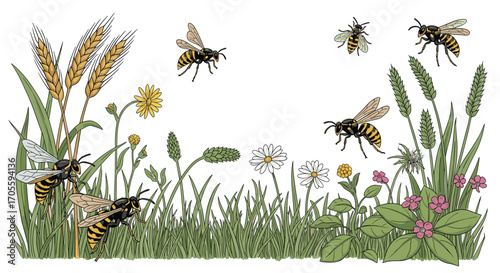 Wasps and wildflowers in a meadow scene.