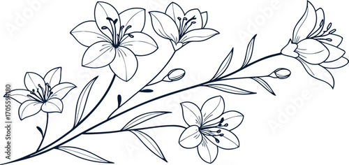 Elegant line art floral illustration with blooming lilies and delicate leaves, perfect for decorative design, textile, and backgrounds. Minimalist botanical artwork with detailed outline. Stylish mono