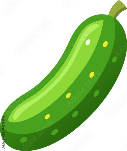 Cucumber colorful icon vector on white background 