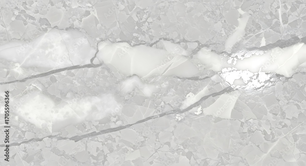 Obraz premium Abstract White and Gray Marble Texture Background