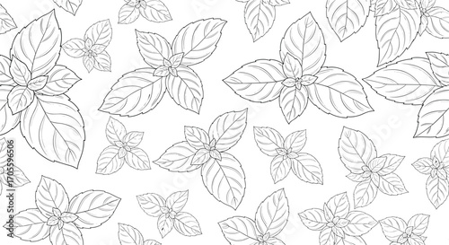 Seamless Pattern of Basil Leaves Hand Drawn Sketch.