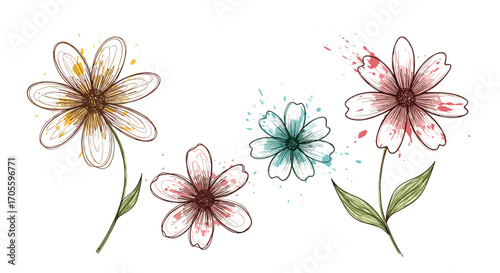 Watercolor floral illustration with delicate petals and splashes of color.