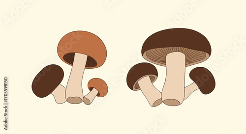 Illustration of two groups of mushrooms on a light background.
