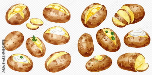 An assortment of watercolor illustrations depicting whole, baked, and sliced potatoes, some topped with butter, sour cream, or chives.