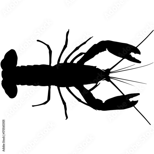 silhouette of a lobster