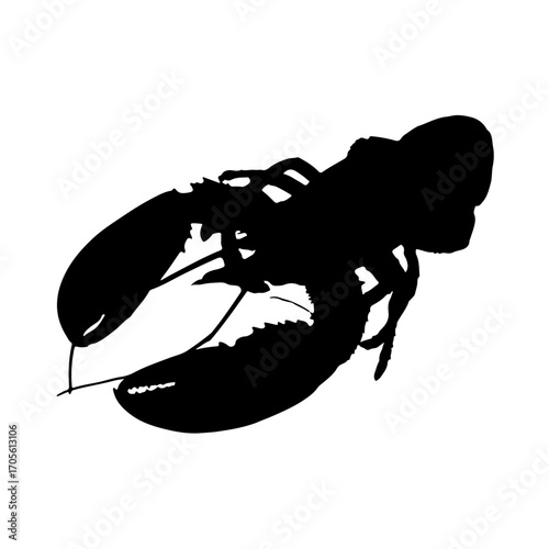 silhouette of a lobster