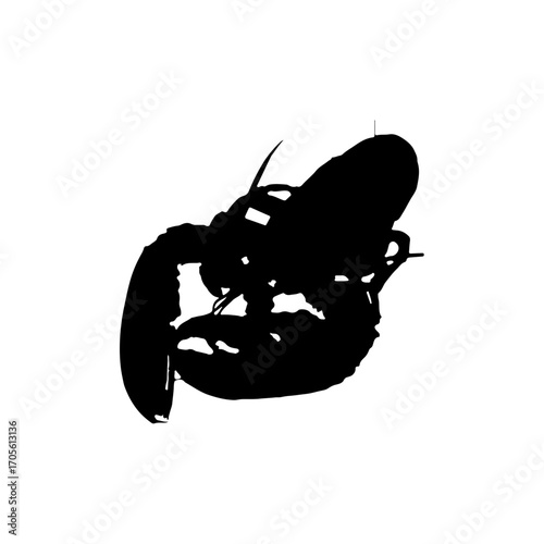 silhouette of a lobster