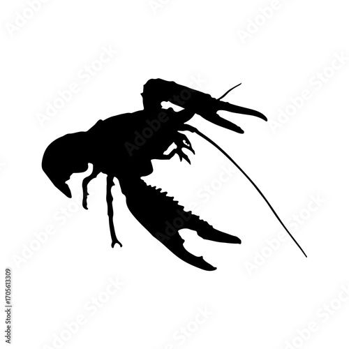 silhouette of a lobster