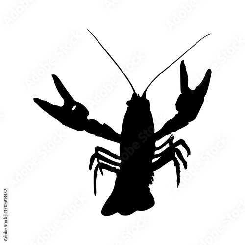 silhouette of a lobster