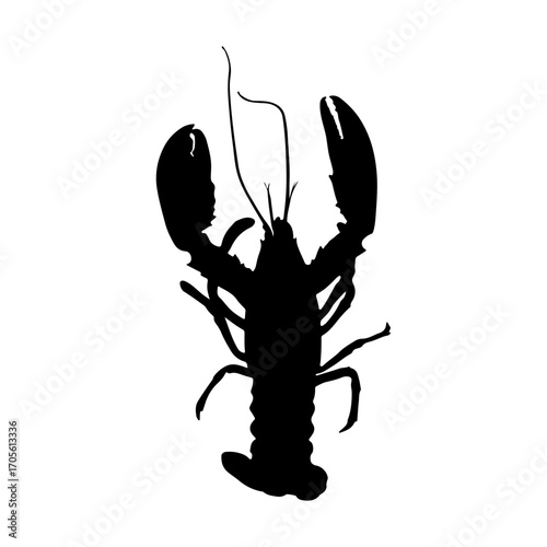 silhouette of a lobster