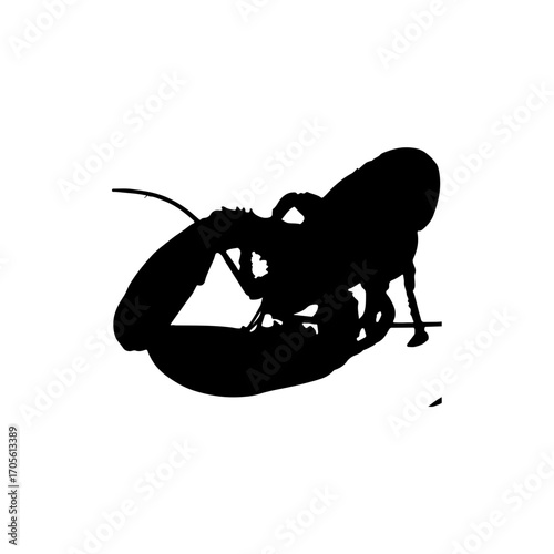 silhouette of a lobster
