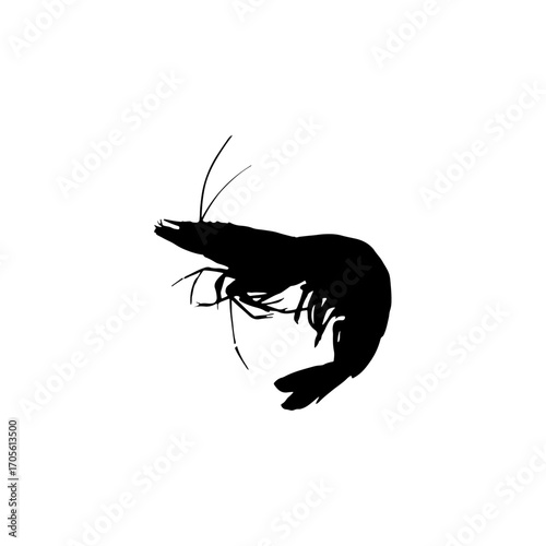 silhouette of a lobster