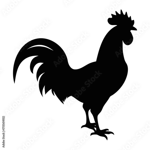 Rooster Silhouette Isolated on White Background