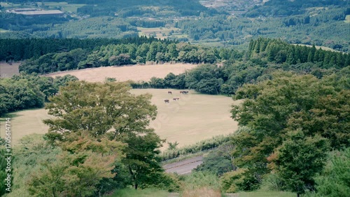 日本一の枕木階段から眺める風景