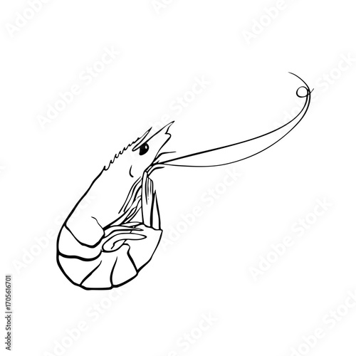 Shrimp Line Illustration Transparent mediterranean summer seafood shellfish prawn svg hand drawn sketch food asset marine dinner restaurant vector vintage ocean doodle whimsical sea summer market