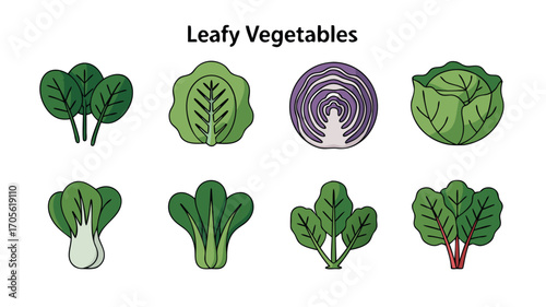 A Collection of Fresh Green and Purple Leafy Vegetable Illustrations for Healthy Eating and Nutrition