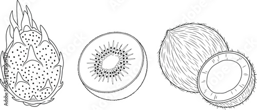 Detailed illustration of tropical fruits, featuring dragon fruit, kiwi, and coconut for exotic flavor and healthy eating