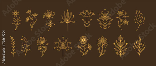 Set of boho simple geometric branch and flowers. Botanic design elements in wavy and vintage style. Leaves and branches print for logo, social media or packaging and greeting card. Vector illustration