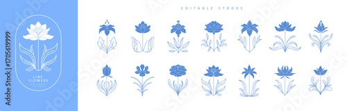 Set of boho simple geometric branch and flowers. Botanic design elements in wavy and vintage style. Leaves and branches print for logo, social media or packaging