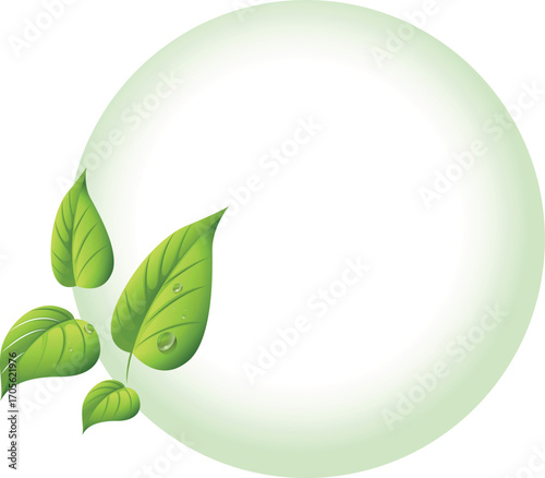 green leaves background