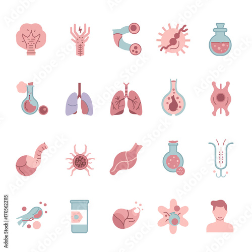 human anatomy organs illustration showing internal body parts ideal for medical guides  education materials on healthy living  anatomical learning process.
